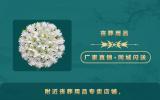 哪有喪葬用品店??？附近喪葬用品專賣店鋪