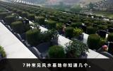 常見風水墓地有哪些？7種常見風水墓地你知道幾個