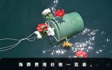 海葬需要多少費(fèi)用？海葬費(fèi)用價(jià)格一覽表