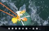 海葬收費大概是多少？海葬費用價格一覽表