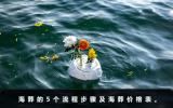 海葬流程費用多少？海葬的5個流程步驟及海葬價格表
