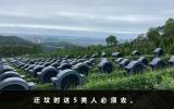遷墳時必須去的人有哪些？遷墳時這5類人必須去