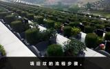 遷墳注意事項舊墳怎么填平？填舊墳的流程步驟