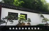 給帛金的忌諱怎么寫？給帛金忌諱的撰寫指南