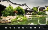 五七燒什么樣的花？五七必?zé)?類紙花
