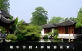 端午節(jié)驅(qū)邪花束有哪些？端午節(jié)的4種驅(qū)邪花束