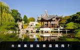 火龍果能當(dāng)祭品用嗎？從這3個(gè)方面來衡量