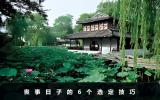 選什么日子辦喪事好？喪事日子的6個選定技巧