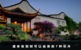 遺體告別帶什么花？遺體告別時可以選擇的7種花卉