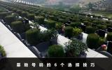 墓地號碼怎么選？墓地號碼的6個選擇技巧