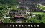 義烏墓地去哪里買(mǎi)？義烏墓地的三個(gè)購(gòu)買(mǎi)途徑