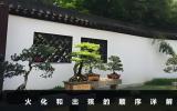 先火化還是先出殯？火化和出殯的順序詳解