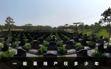 一般墓地產權多少年？墓地產權年限詳情