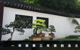 一年喪事三年衰啥意思？一年喪事三年衰的含義