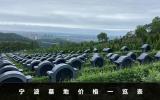寧波墓地多少錢一個？寧波墓地價格一覽表