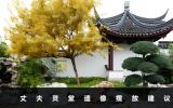 丈夫靈堂遺像怎么擺放？丈夫靈堂遺像建議
