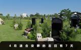 4月安葬吉日有哪幾天呢？4月適合安葬的吉日有7天
