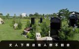 丈人下葬什么人不能去？丈人下葬這些人群不能去