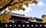 二嬸過世侄子是重孝還是輕孝？重孝與輕孝的區分依據