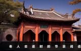 老人去逝怎么說節(jié)哀詞語？老人去逝時的節(jié)哀詞語